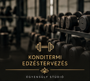 Személyre szabott konditermi edzésterv készítése