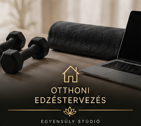 Személyre szabott otthoni edzésterv készítése